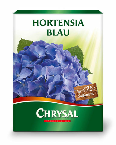 Hortensia Blau Chrysal