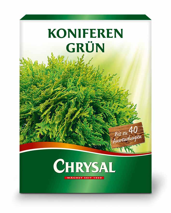 Chrysal Koniferen Grün 1 kg